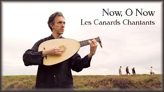 John Dowland  Now O Now  Lute Song by Les Canards Chantants [upl. by Haletta]