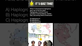 Y chromosome Haplogroups Phylogenetic Tree [upl. by Kevina]