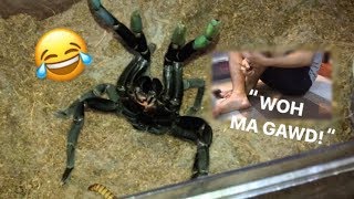 Arachnophobic friend FEEDS my TARANTULAS for the FIRST TIME  “Whoaa my goshhh” [upl. by Naihtsirc]