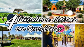 4 Viñedos que debes conocer en Querétaro  Ruta del Vino  La Redonda Donato Azteca Puerta de Lobo [upl. by Mou14]