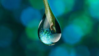 Water Drop Sound Effect  3D Sound Effects  splash to drips  Link In Description 👇 [upl. by Spillihp69]