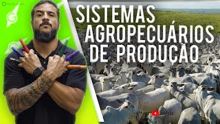 Sistemas Agropecuários de Produção  Geobrasil [upl. by Birk536]