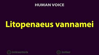 How to Pronounce Litopenaeus vannamei [upl. by Nagol]