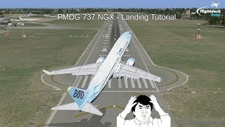 How to Land the PMDG 737 by a Real 737 Captain [upl. by Landry]