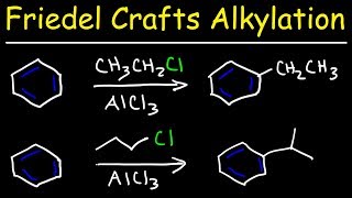 Friedel Crafts Alkylation of Benzene Reaction Mechanism  Tons of Examples [upl. by Etnoled]