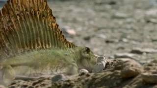 Walking with Monsters  Baby Dimetrodon rush [upl. by Yllim]