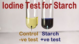 Iodine Test For Starch Practical Experiment [upl. by Filler]