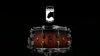 Mapex Black Panther Solidus 14 x 7 11Ply Maple Snare Drum  Gear4music demo [upl. by Asilenna271]