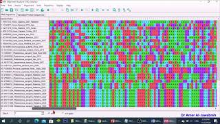 MEGA X How to construct a phylogenetic tree [upl. by Saundra27]