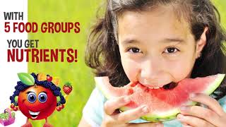 MyPlate 5 Food Group Video [upl. by Notsuh]