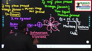 CLASS 11CHAPTER 5  MORPHOLOGY OF FLOWERING PLANTS FLOWER SYMMETRY ACTINOMORPHIC  ZYGOMORPHIC [upl. by Ainez]