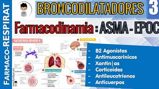 B2 AGONISTAS AntiMUSCARINICOS CORTICOIDES XANTINAS ANTILEUCOTRIENOS Farmacodinamiacinetica 3 [upl. by Arin316]