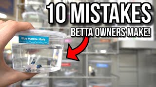 10 MISTAKES Betta Fish Owners Make [upl. by Mehta724]