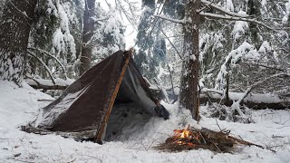 Solo Winter Camping in Heavy Snow  Overnight in Tarp Shelter [upl. by Lenard]