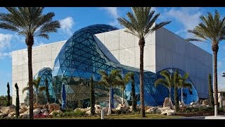 The Dali Museum An Unparalleled Experience [upl. by Gilba115]