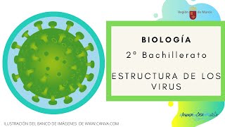 ESTRUCTURA Y COMPOSICIÓN DE LOS VIRUS [upl. by Kihtrak]