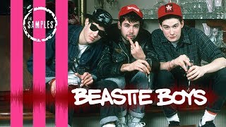 The Samples BEASTIE BOYS  Pauls Boutique Edition [upl. by Adnuhsor]