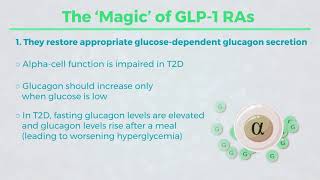 Mechanism of Action for GLP 1 RAs quotThe Howquot [upl. by Hansen337]