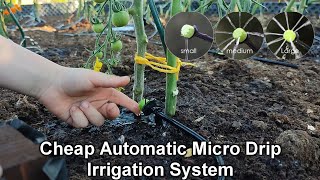 Install a Automatic Micro Drip Irrigation System For Raised Bed Garden  Automatic Watering System [upl. by Lemak]