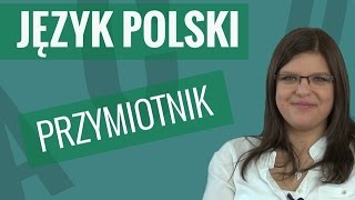 Język polski  Przymiotnik [upl. by Asit924]