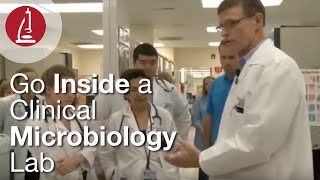 Go Inside a Clinical Microbiology Lab [upl. by Anerok131]