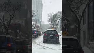 Yorkville Ave Toronto  February 15 2025 [upl. by Aihsot]