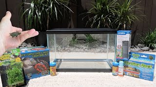 10 gallon Aquatic Turtle Tank Starter Kit Setup [upl. by Vinni729]