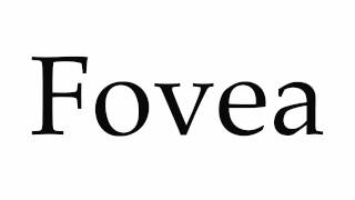 How to Pronounce Fovea [upl. by Laurie]