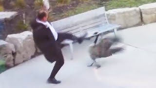 Man Attacked By Goose almost dies [upl. by Newmark]