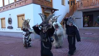 Hons und der aggressive Krampus [upl. by Forrester]