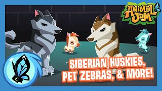 Whats Coming to Animal Jam  July Update [upl. by Cohbath]