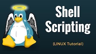 Shell Scripting Tutorial in Linux [upl. by Aihseken]