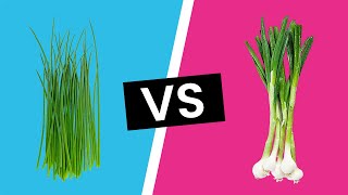 Chives vs Scallions  Whats the Difference [upl. by Smitt]