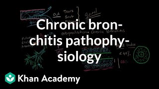 Bronchitis Symptoms Causes Treatments  Dr MyHuyen Tran [upl. by Jordana]