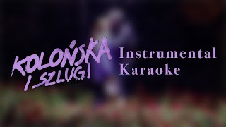 SANAH  KOLOŃSKA I SZLUGI  INSTRUMENTALKARAOKE [upl. by Annemarie]