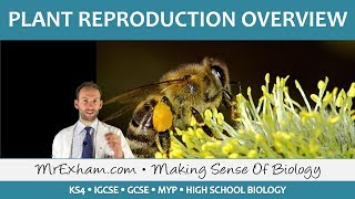 Plant Reproduction  Introduction and Overview  GCSE Biology 91 [upl. by Annorah]