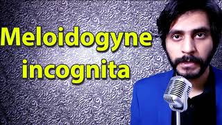 How To Pronounce Meloidogyne incognita [upl. by Caren]