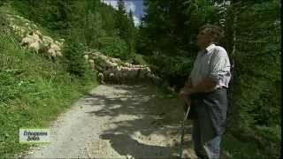 Rando dans les Alpes  Echappées belles [upl. by Tirma]