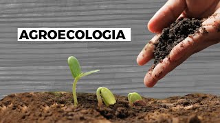 UFSC Explica  Agroecologia [upl. by Cinderella]