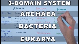 Archaea  Bacteria  Eukarya [upl. by Enerehs486]