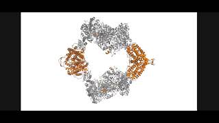 Ribonucleotide ReductaseRNR [upl. by Nosduh200]