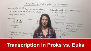 Transcription in Prokaryotes vs Eukaryotes [upl. by Nnaear]