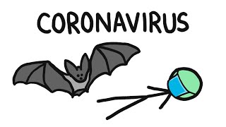 Why Do Bats Carry So Many Diseases like Coronavirus [upl. by Longtin]