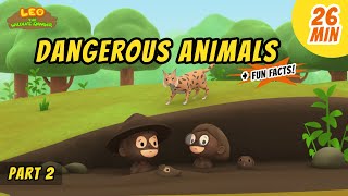 Dangerous Animals Part 23  Animals Stories for Kids  Educational  Leo the Wildlife Ranger [upl. by Lora]