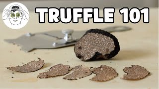 The Beginners Guide to Truffles [upl. by Wimsatt]