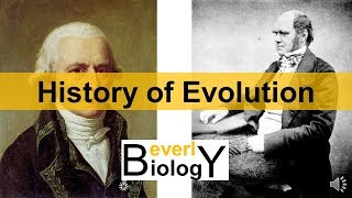 History of Evolution updated [upl. by Anilasor496]