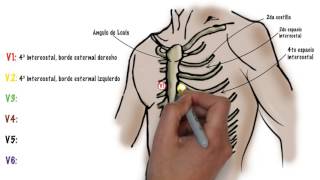 Como hacer un ECG electrocardiograma [upl. by Hildick]