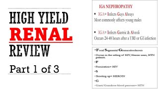 Renal Pance Review Part 1 of 3 [upl. by Viddah]