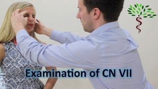 Facial nerve examination Cranial nerve 7 [upl. by Atile]