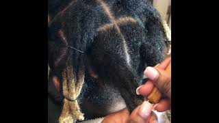 KodakKnots How to combine traditional Locs into Wicks [upl. by Ilrahc]